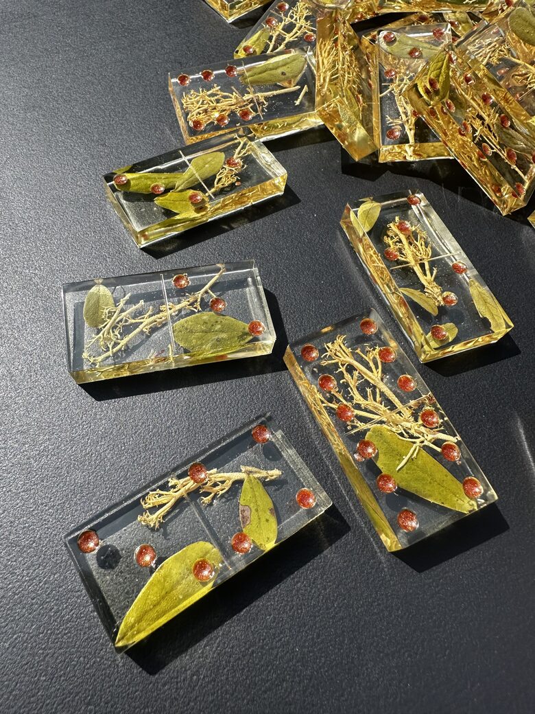 BRŪKLEŅU LAPU UN ĶĒRPJU DOMINO