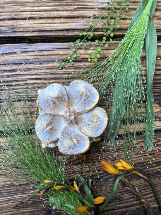 FRANGIPANI ZIEDA VĪRAKA TURĒTĀJS (BALTA AR ZELTU TONIS)