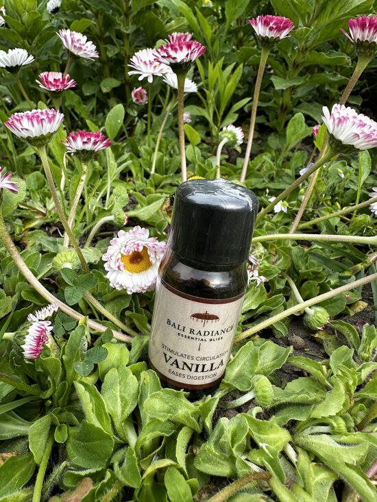 VANIĻAS ĒTERISKĀ EĻĻA 15ml
