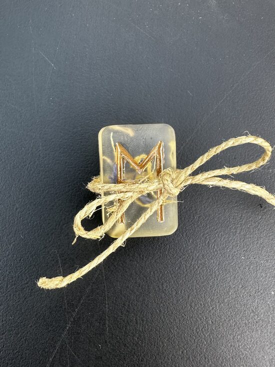 RŪNU TALISMANS EHWAZ. UZTICĒŠANĀS, SADARBĪBAI UN VIRZĪBAI UZ PRIEKŠU