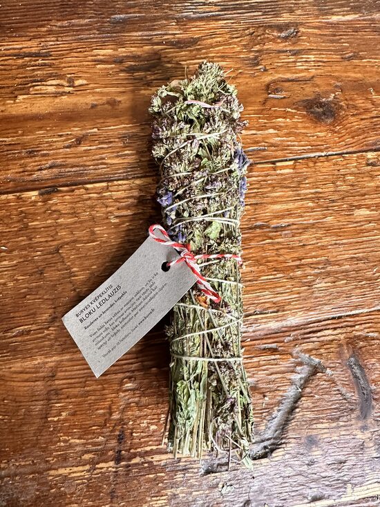 BURVES KVĒPEKLĪTIS - BLOKU LEDLAUZIS