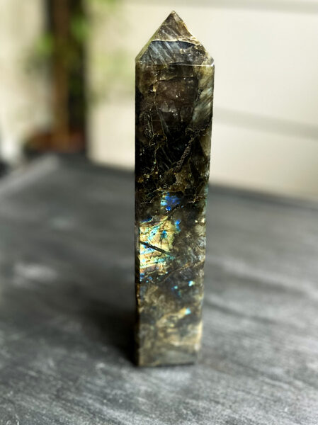 LABRADORĪTA TORNIS (1349g)