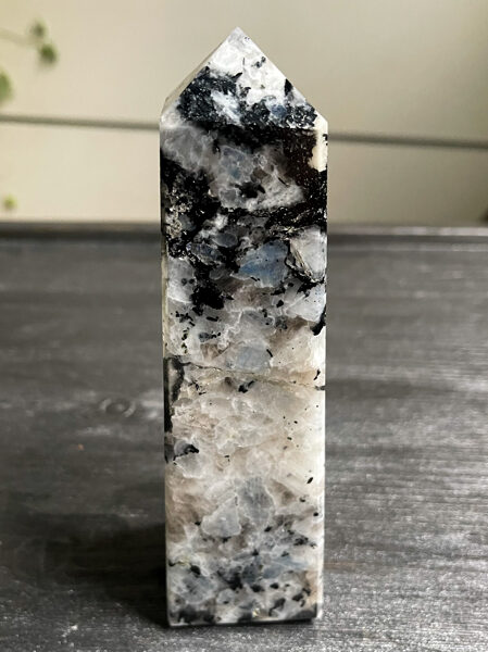 VARAVĪKSNES MĒNESSAKMENS TORNIS (802g)