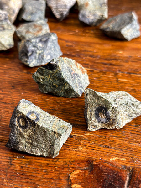 JAŠMA KAMBABA NEAPSTRĀDĀTS (30-39g)