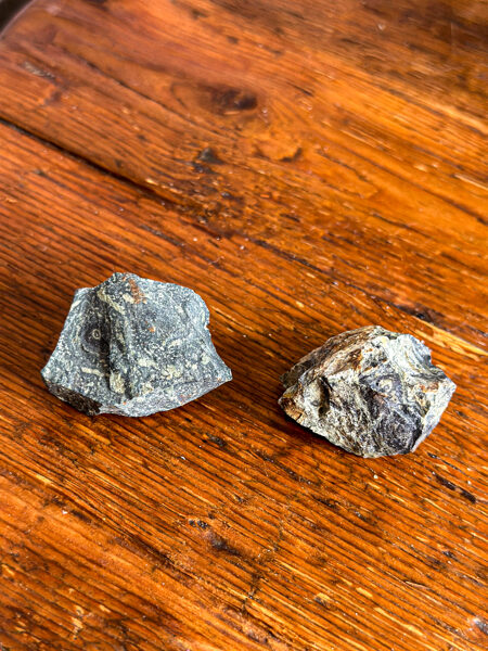 JAŠMA KAMBABA NEAPSTRĀDĀTS (40-49g)