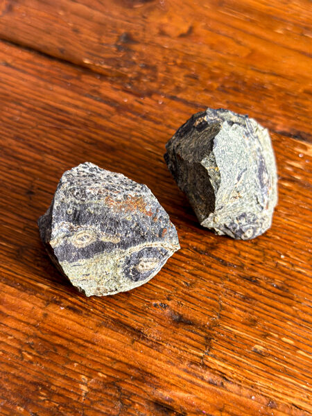 JAŠMA KAMBABA NEAPSTRĀDĀTS (50-59g)